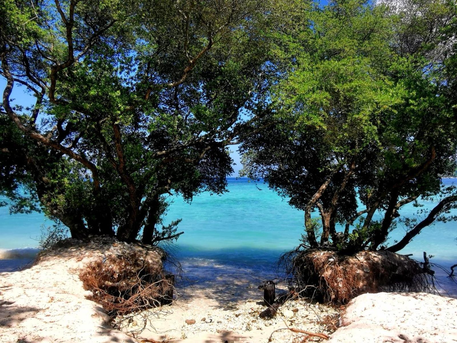 Exotic House Villa Gili Meno Exteriör bild