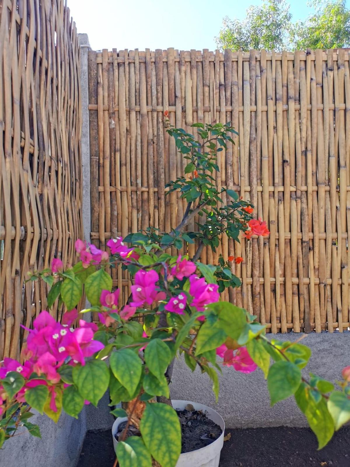 Exotic House Villa Gili Meno Exteriör bild