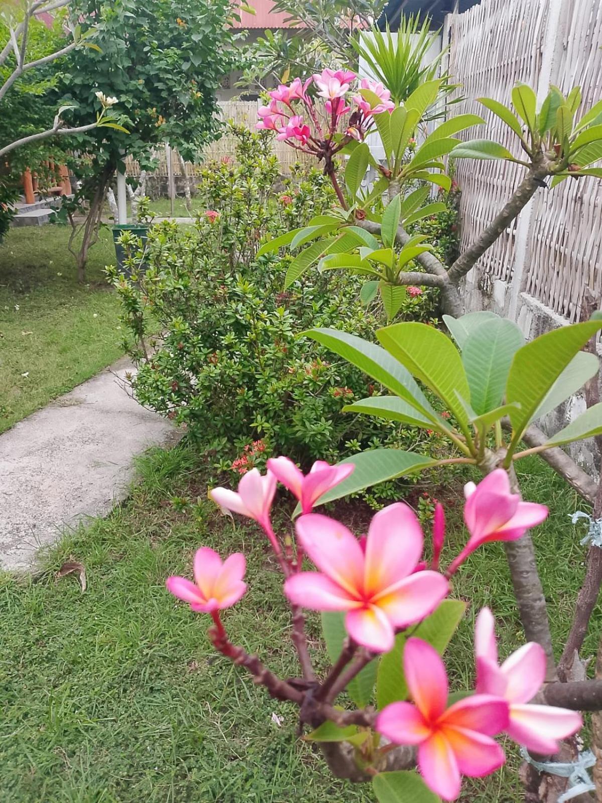Exotic House Villa Gili Meno Rum bild